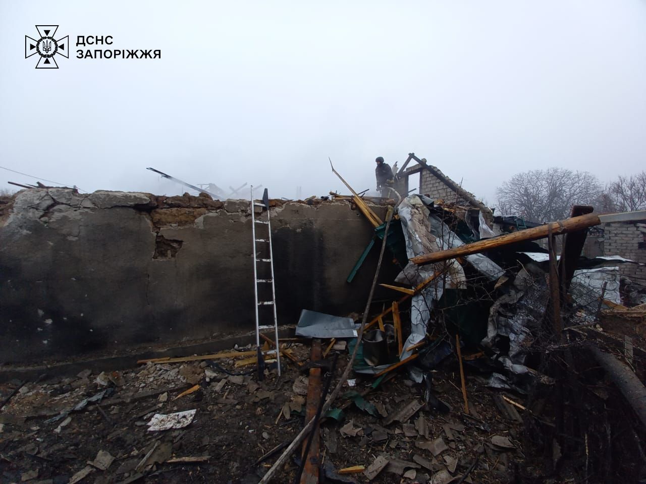 Оккупанты устроили террор в Запорожье: есть раненые, разрушен приют для животных. Фото