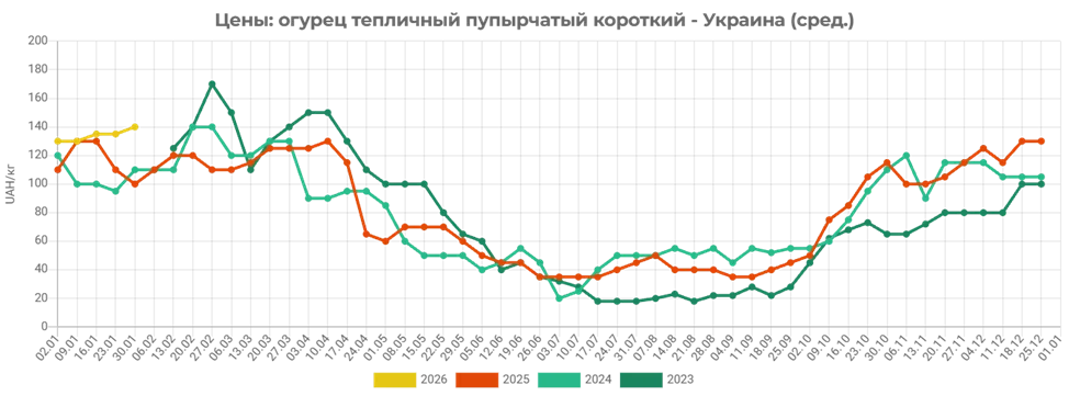 В Україні різко переписали ціни на огірки: скільки тепер коштує кілограм