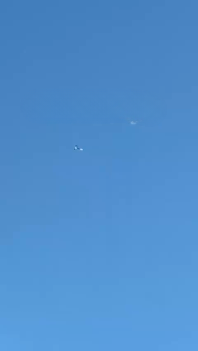 "Фиксируем такие случаи ежедневно": в сети показали запуск оккупантами FPV-дрона с беспилотника "Гербера". Видео