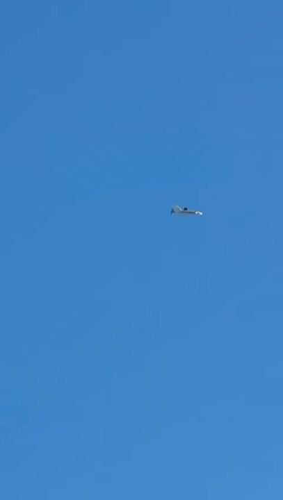 "Фиксируем такие случаи ежедневно": в сети показали запуск оккупантами FPV-дрона с беспилотника "Гербера". Видео