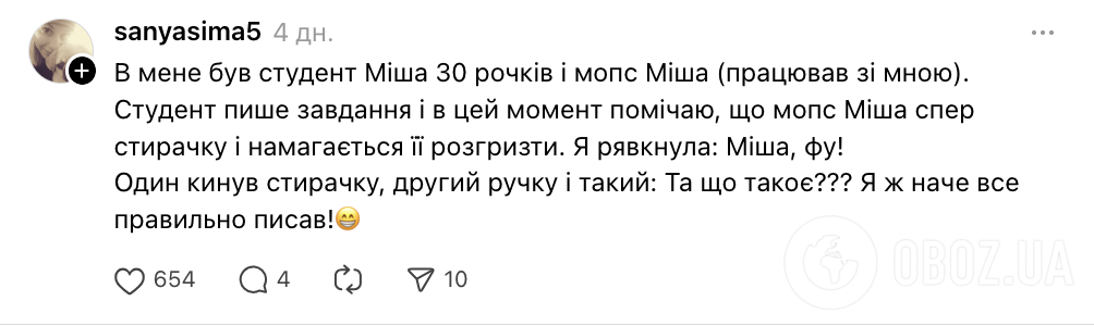 "Не сутулься, собако сутула!" Мережу довели до істерики конфузи вчителів на заняттях з дітьми: українці діляться історіями