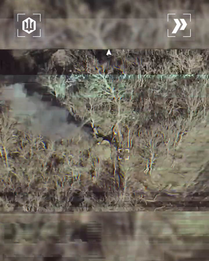 Влучний удар: Сили безпілотних систем знищили ворожий ЗРК "Стріла". Відео