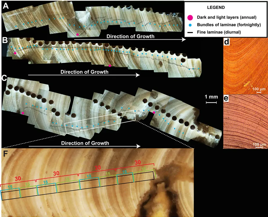 Луна постепенно отдаляется от Земли: как изменится продолжительность суток