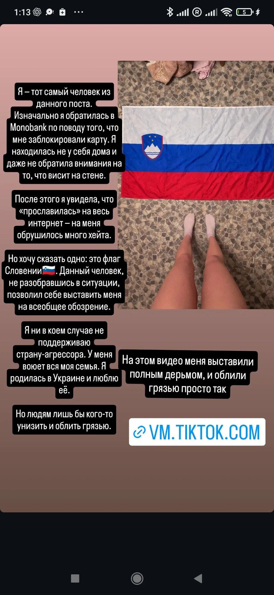 Карина Кольб объяснила, что за флаг висел на стене