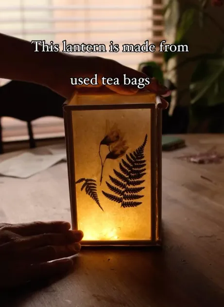 Як перетворити чайні пакетики на оригінальний елемент декору: цікавий лайфхак