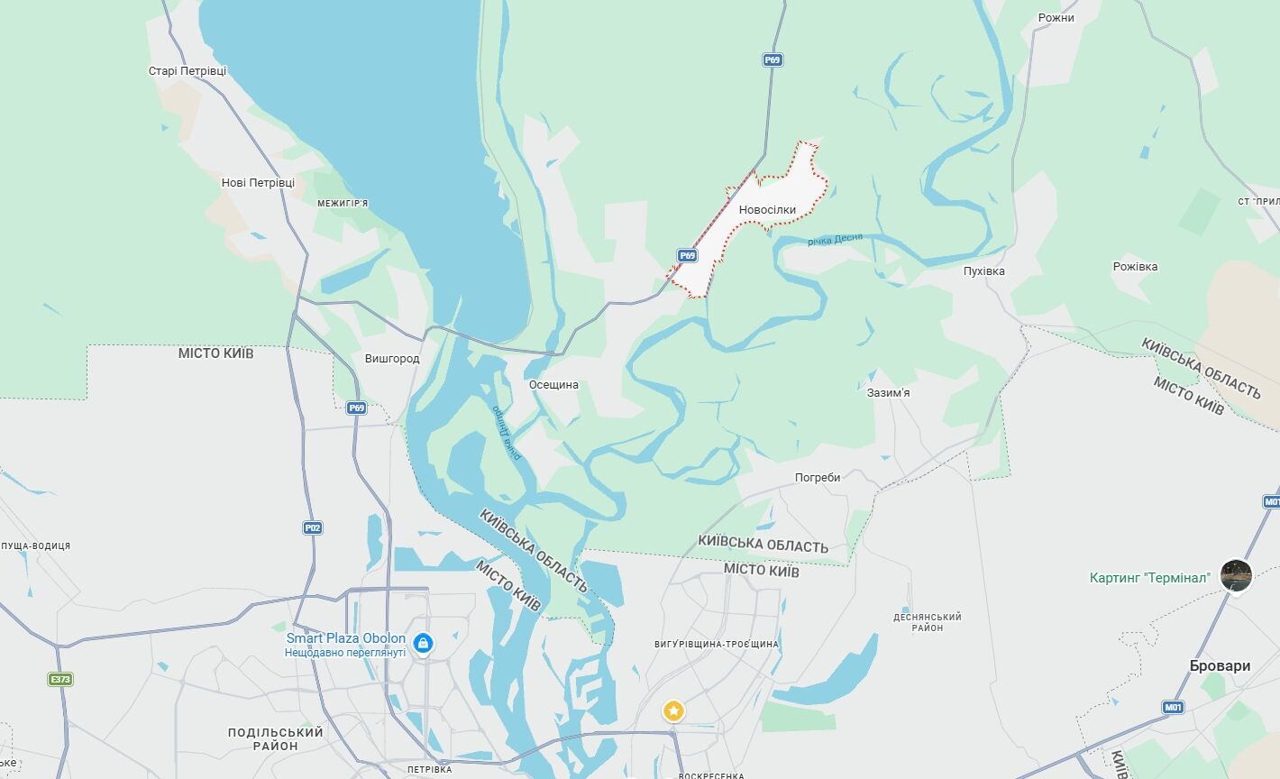 Столб дыма виден даже в столице: на Киевщине произошел масштабный пожар. Подробности, фото и видео