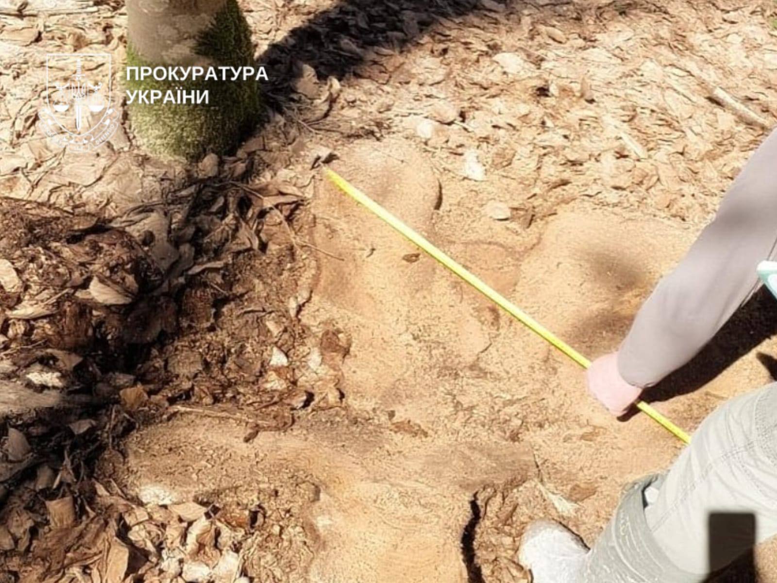 Последствия халатности мастера леса