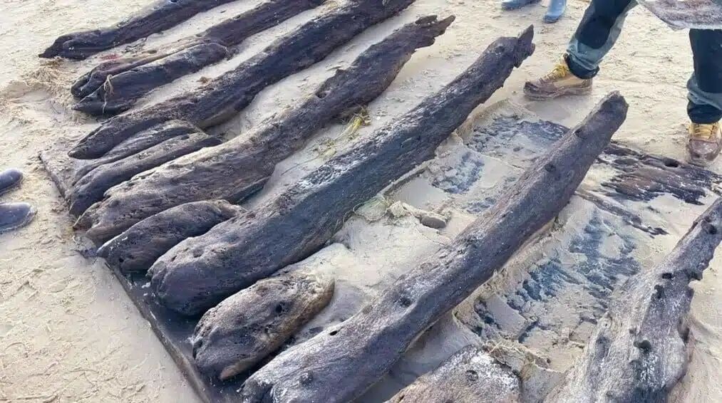 У берегов Англии нашли корабль, затонувший 395 лет назад: почему это "сокровище" для историков