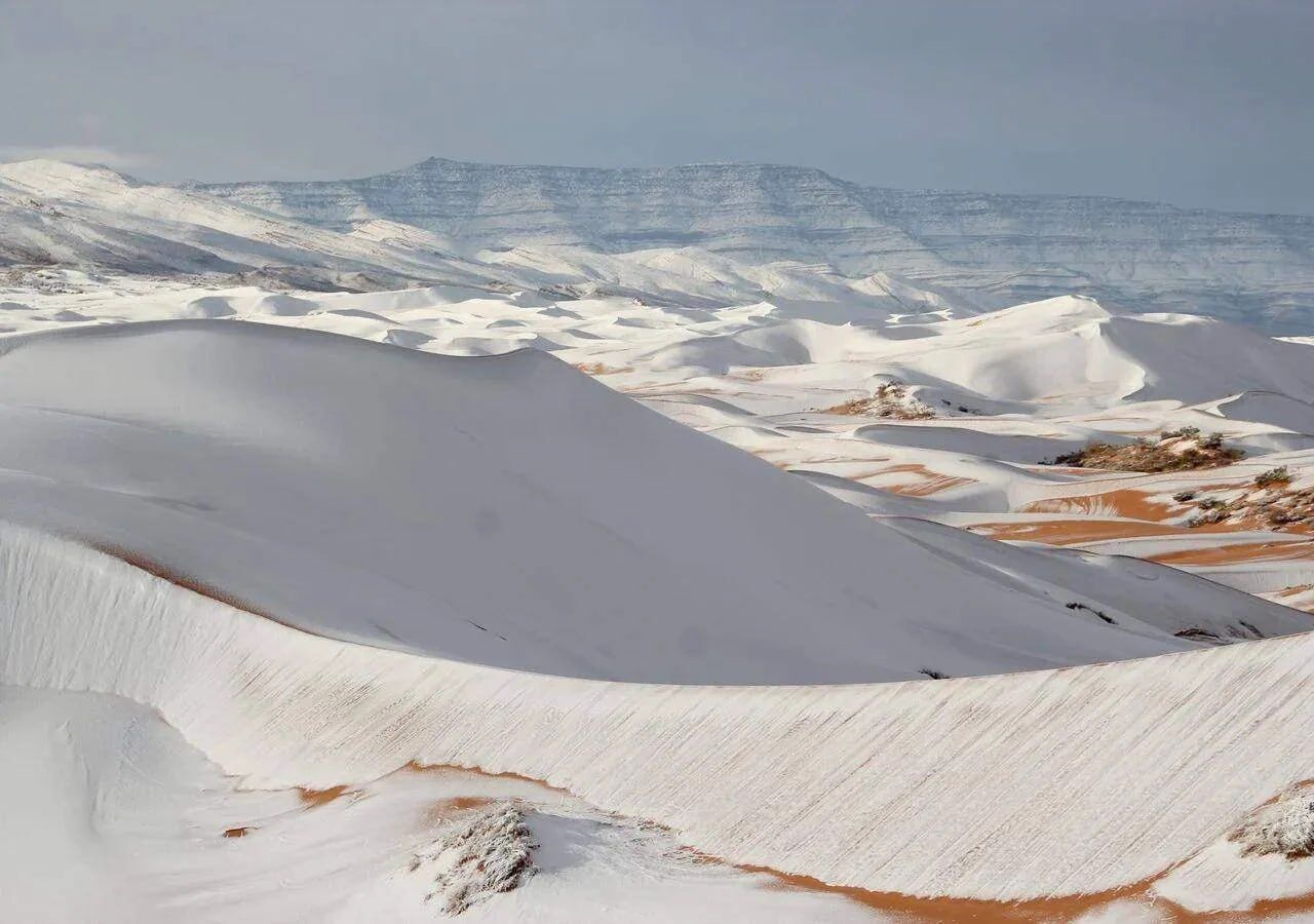 Между пальмами можно кататься на санях: в пустыне Сахара выпал снег. Фото и видео