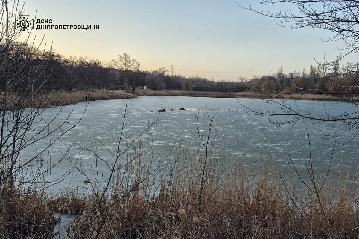 Був за 30 метрів від берега: у Кривому Розі чоловік провалився під лід і ледь не загинув. Фото