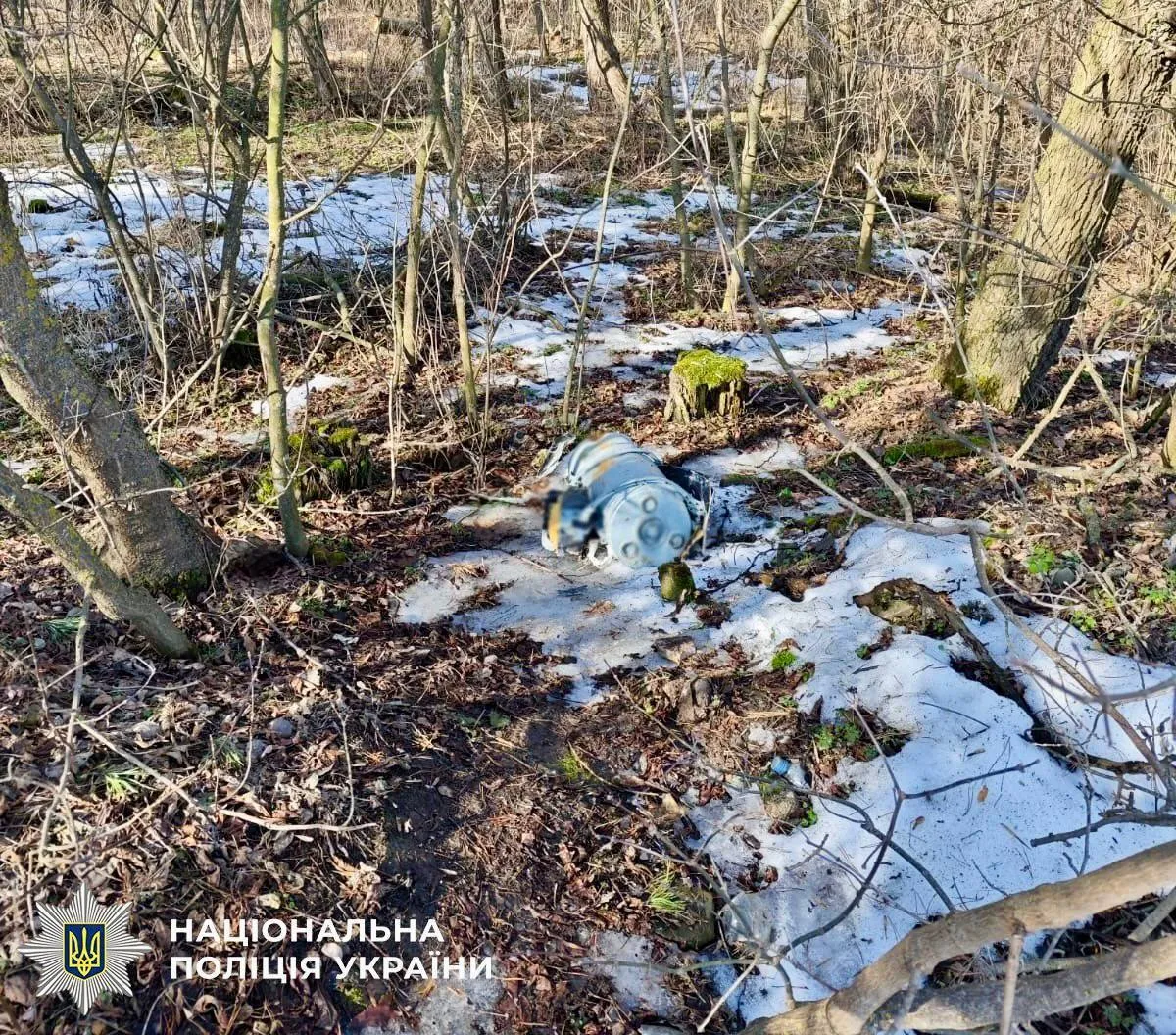 У Києві в лісосмузі знайшли нездетоновану бойову частину "Шахеда". Фото та відео