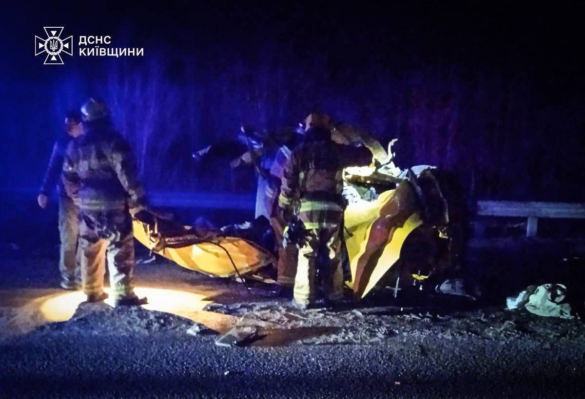 У ДТП під Києвом загинув український еколог Володимир Борейко