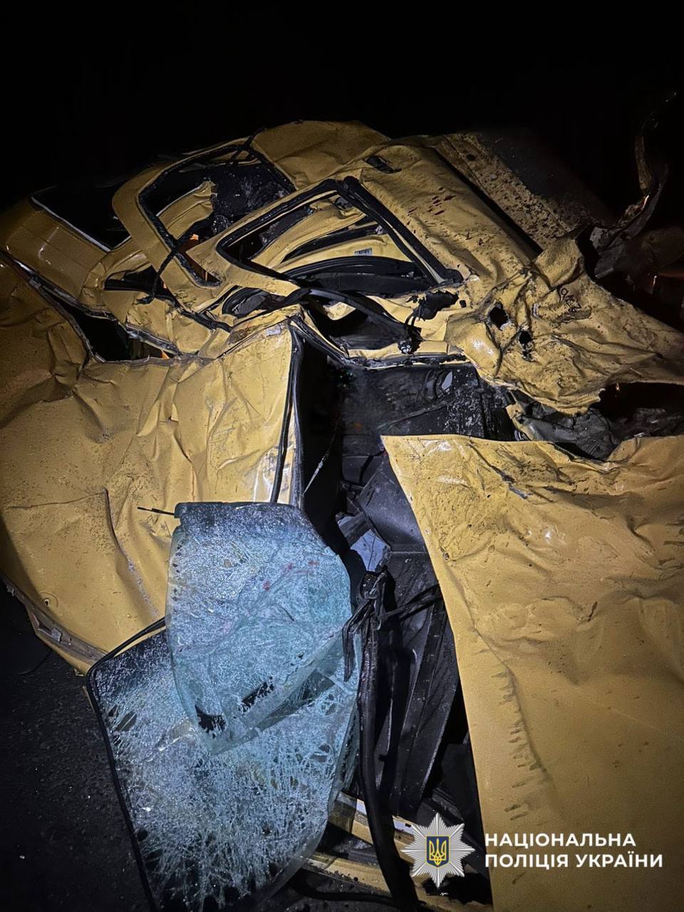 У ДТП під Києвом загинув український еколог Володимир Борейко