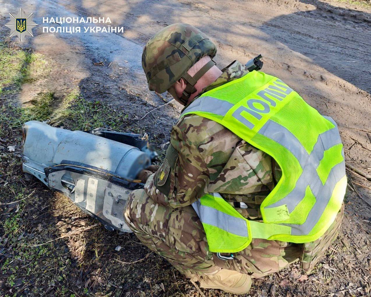У Києві в лісосмузі знайшли нездетоновану бойову частину "Шахеда". Фото та відео