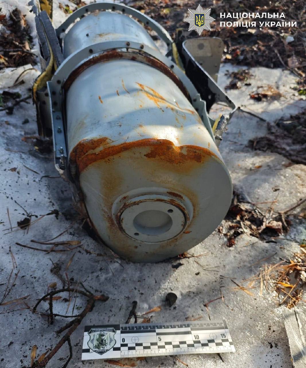 У Києві в лісосмузі знайшли нездетоновану бойову частину "Шахеда". Фото та відео