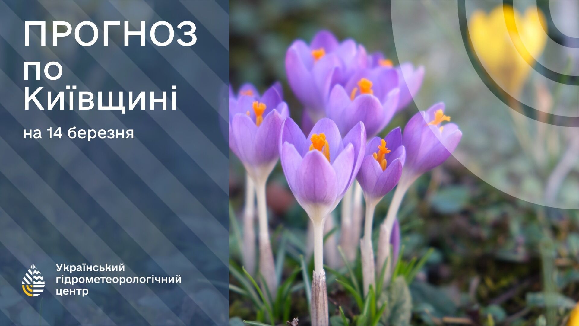 До +16 і без опадів: синоптики дали прогноз погоди на 14 березня в Україні
