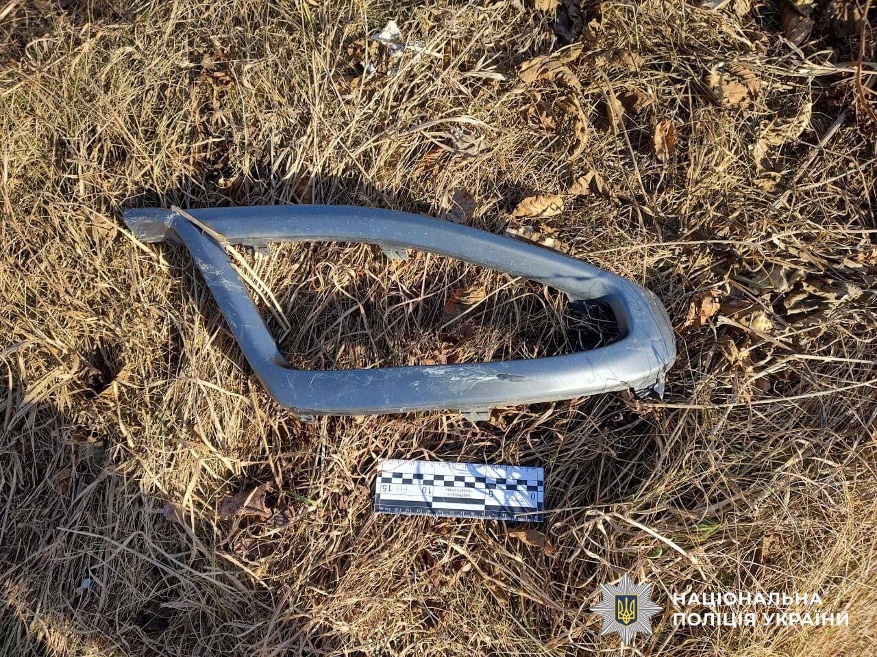 На Рівненщині подружжя загинуло після падіння авто у річку. Фото