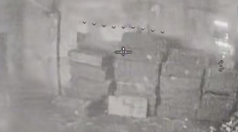 На Запорожье дронари устроили оккупантам настоящее огненное сафари. Видео