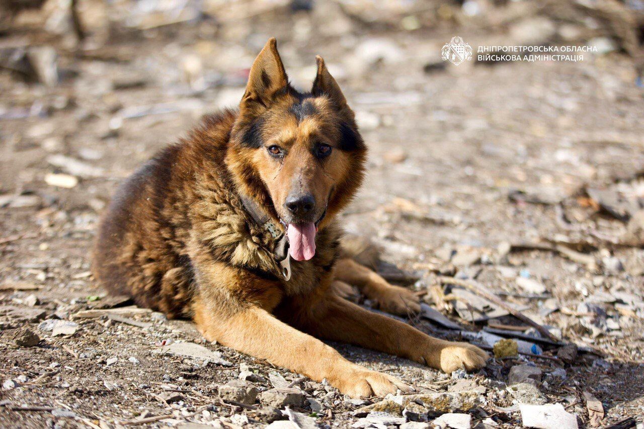 Окупанти атакували Дніпропетровщину: двоє людей загинули, серед поранених – діти. Фото