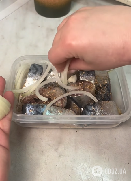 Як смачно замаринувати скумбрію в домашніх умовах: з цибулею та коріандром