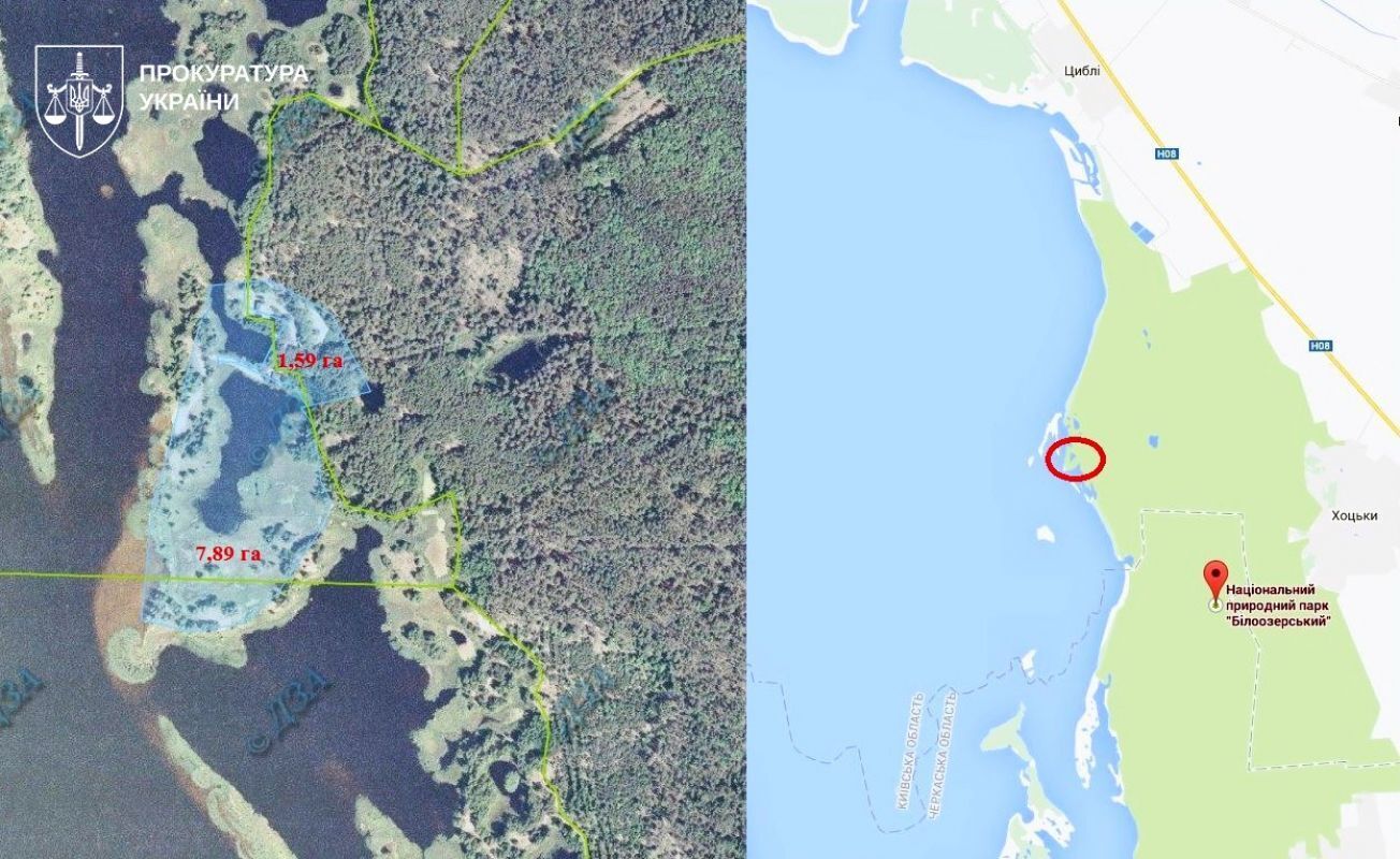 Лесные земли вернули государству