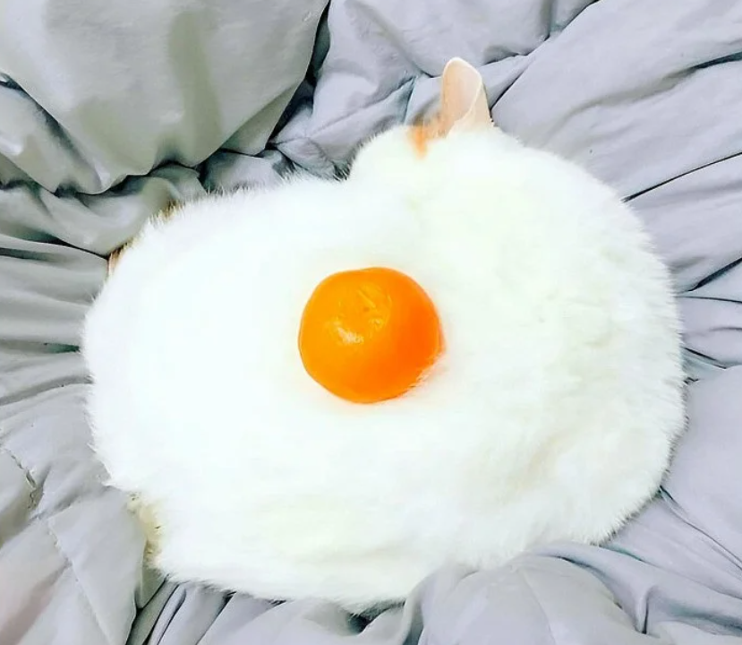 Що побачили першим? Тест розкриє вашу особистість