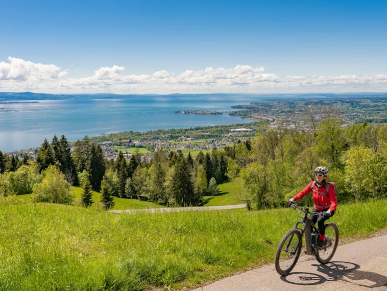 Винные регионы Европы, о которых никто не говорит: топ 5