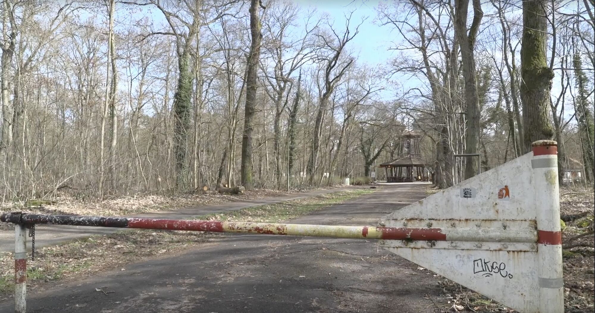 У лісі в Німеччині знайшли тіло 19-річної українки: у вбивстві підозрюють 17-річного сирійця