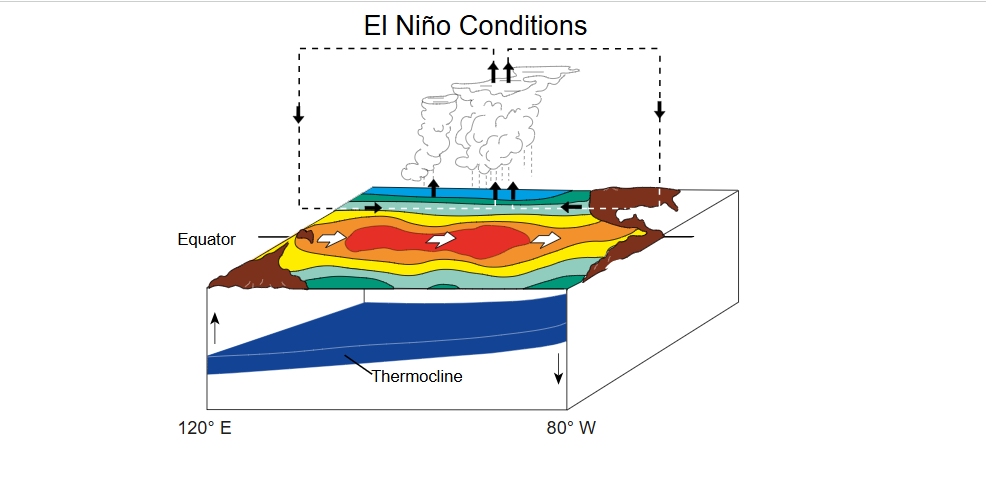 Землю ждет беспрецедентная жара: ученые предупредили об аномалии