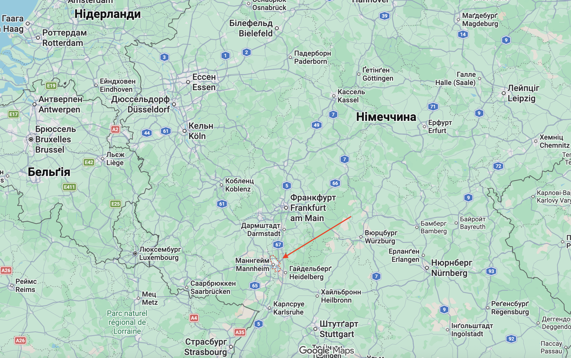 У лісі в Німеччині знайшли тіло 19-річної українки: у вбивстві підозрюють 17-річного сирійця