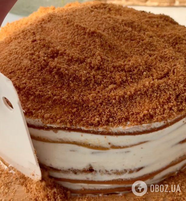 Ленивый "Медовик" на сковороде: делимся легким рецептом вкусного десерта