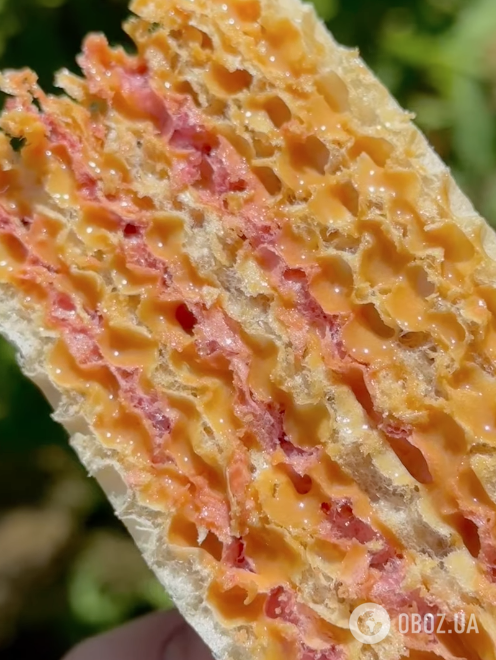 Вафельний торт за 5 хвилин: рецепт найсмачнішого та найшвидшого домашнього торта