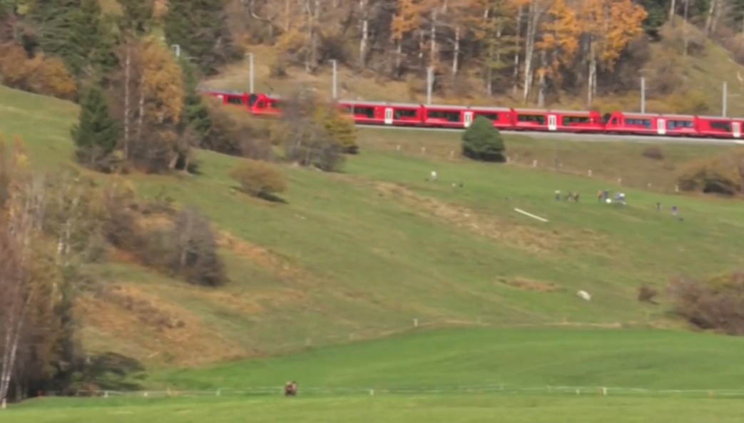 Имеет 100 вагонов: где курсирует самый длинный поезд в мире