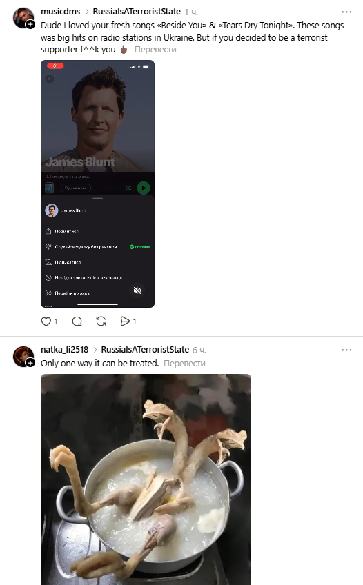 "Зніми це барахло і змий в унітаз". Автор хіта You're Beautiful натягнув російську вушанку з кокардою і став посміховиськом