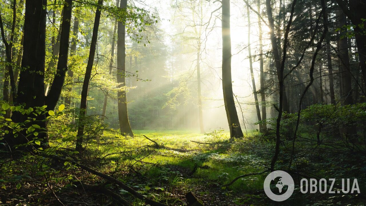 Дні стають довшими із безпрецедентною швидкістю: вчені пояснили, що відбувається