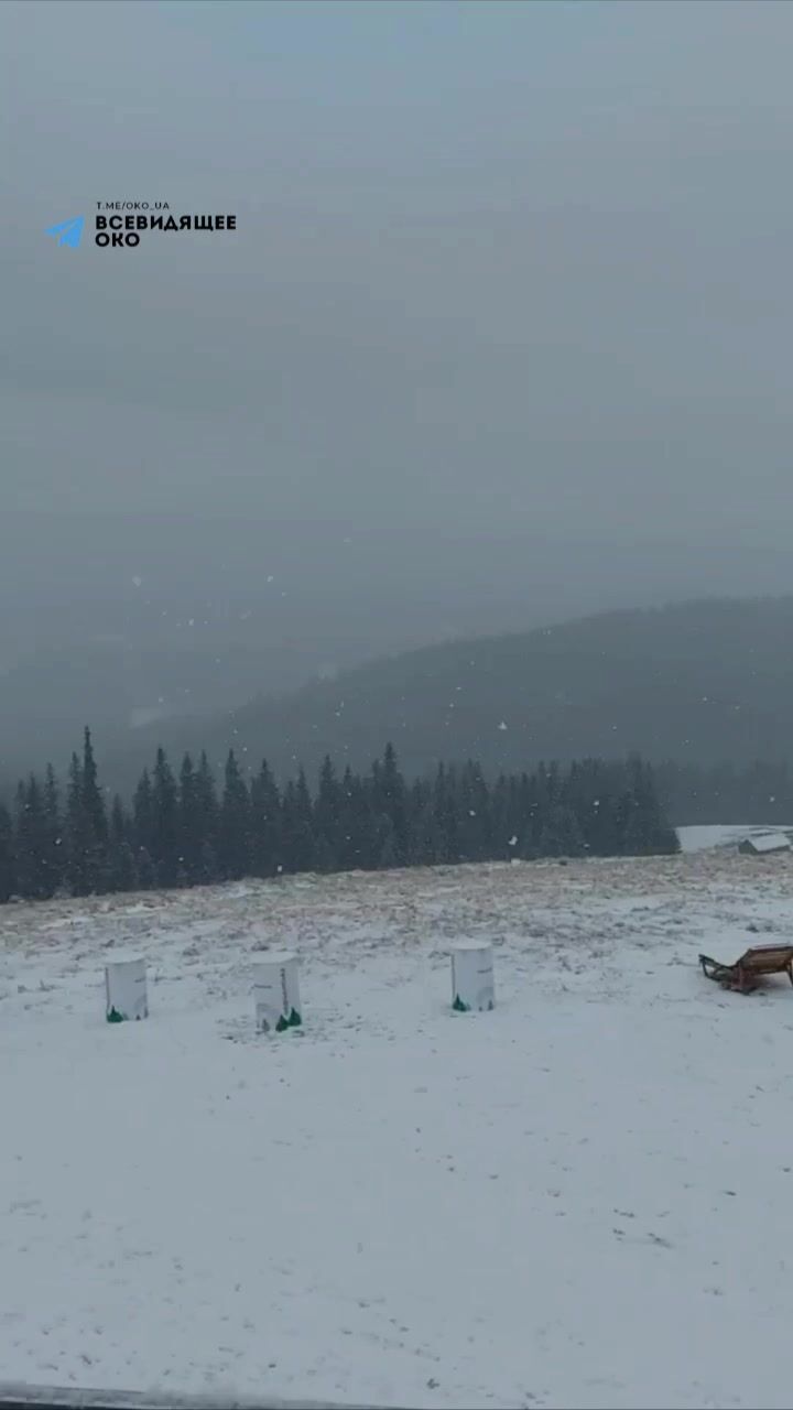 "Справжня зимова казка":  у Карпатах сніг засипав схили, вдарило 8 градусів морозу. Фото