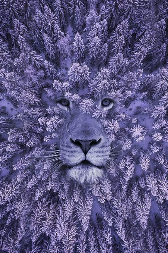 Что увидели первым? Тест покажет ваш подход к отношениям