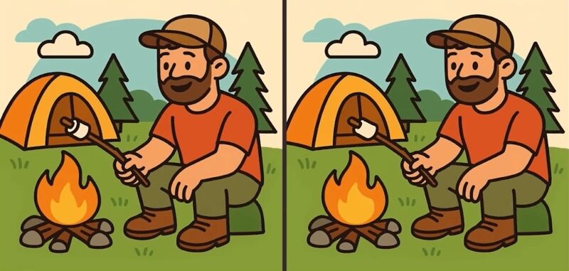 Найдите 3 отличия: справятся только самые внимательные