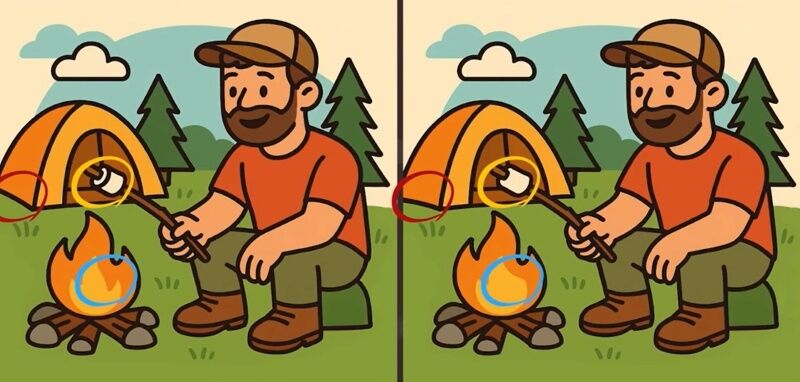 Найдите 3 отличия: справятся только самые внимательные