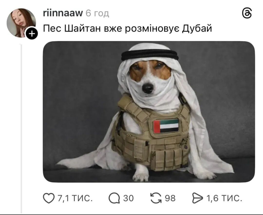 "Збираємо на іраноріз": українці відреагували мемами на війну на Близькому Сході. Фото