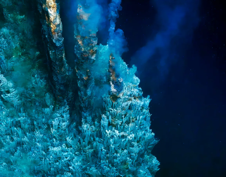 Глибоко під поверхнею Землі процвітає життя: вчені розповіли про "сплячого гіганта"