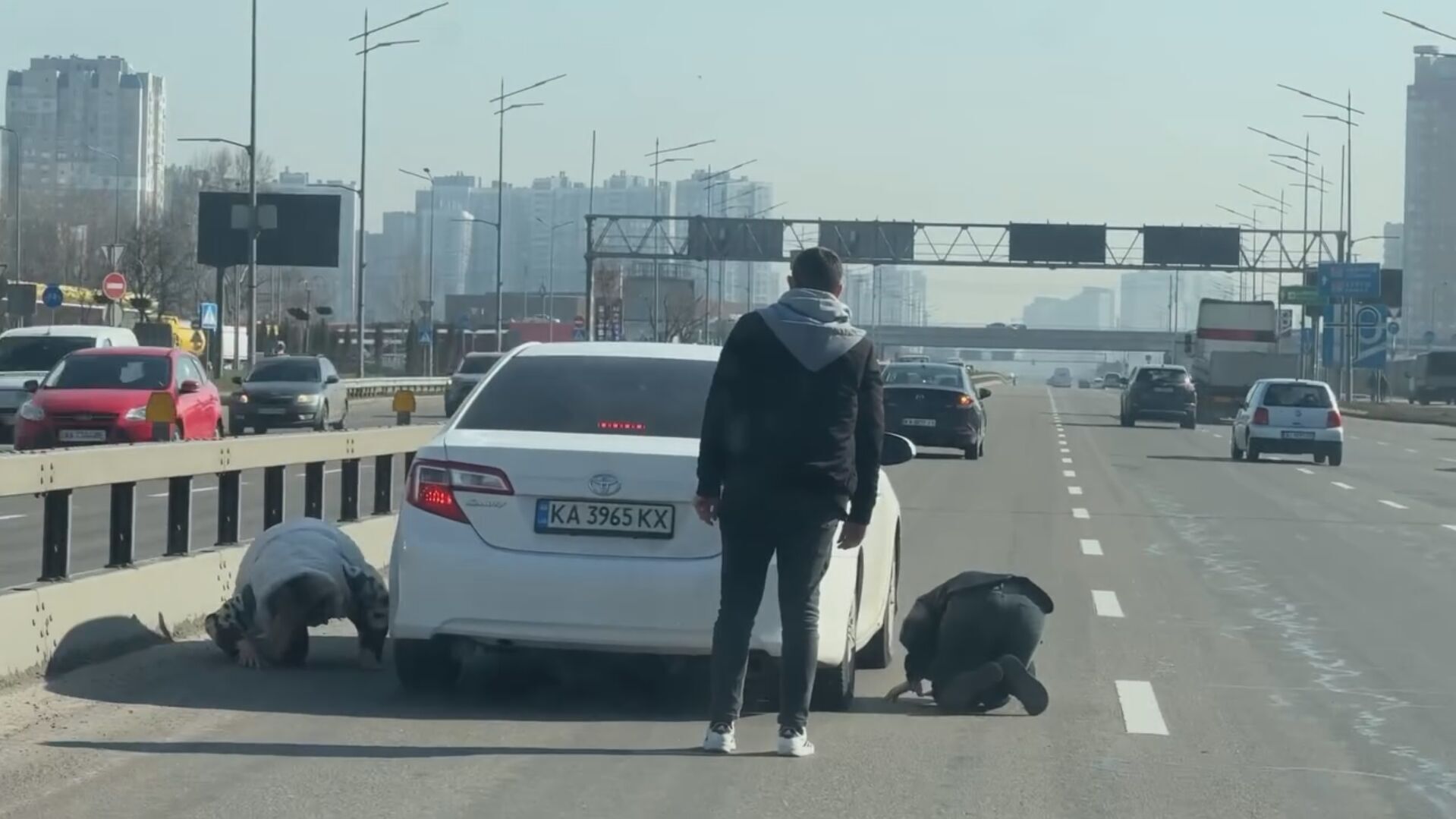 У Києві заради порятунку кошеняти перекривали рух авто на проспекті Бажана. Відео