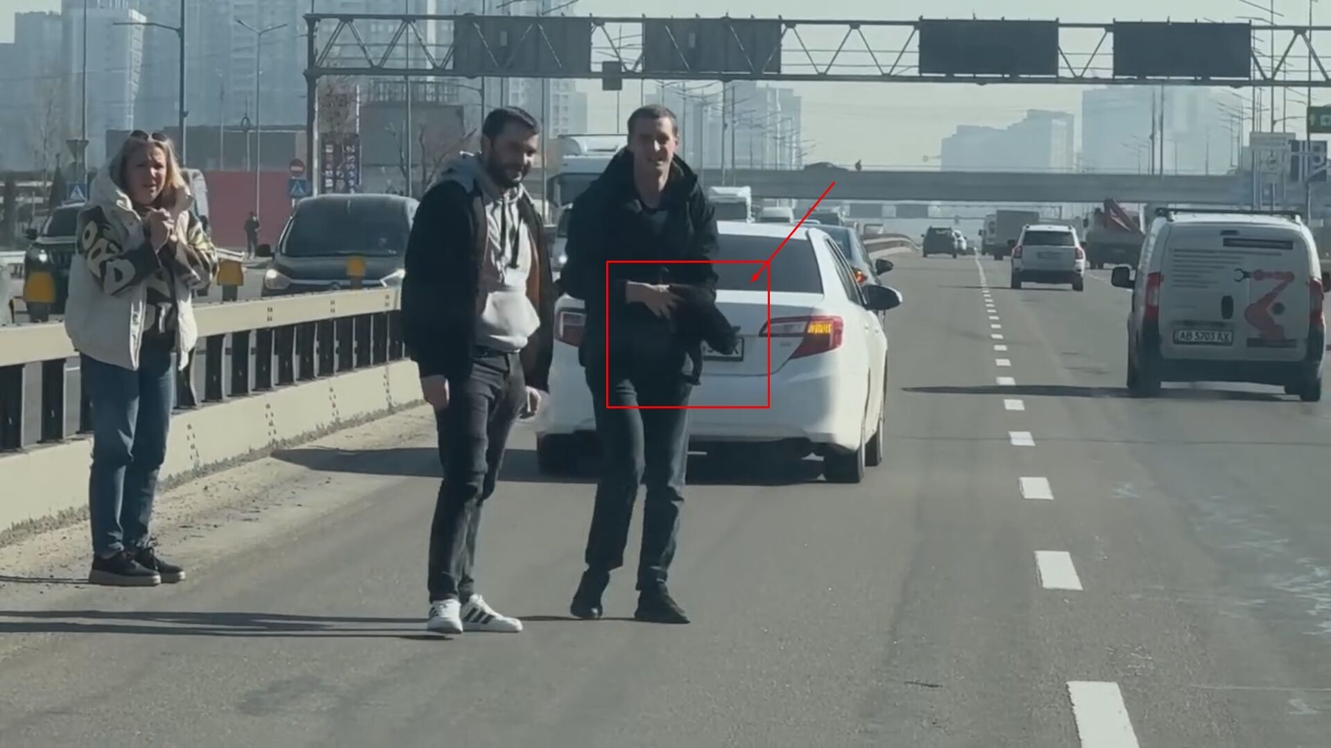 У Києві заради порятунку кошеняти перекривали рух авто на проспекті Бажана. Відео