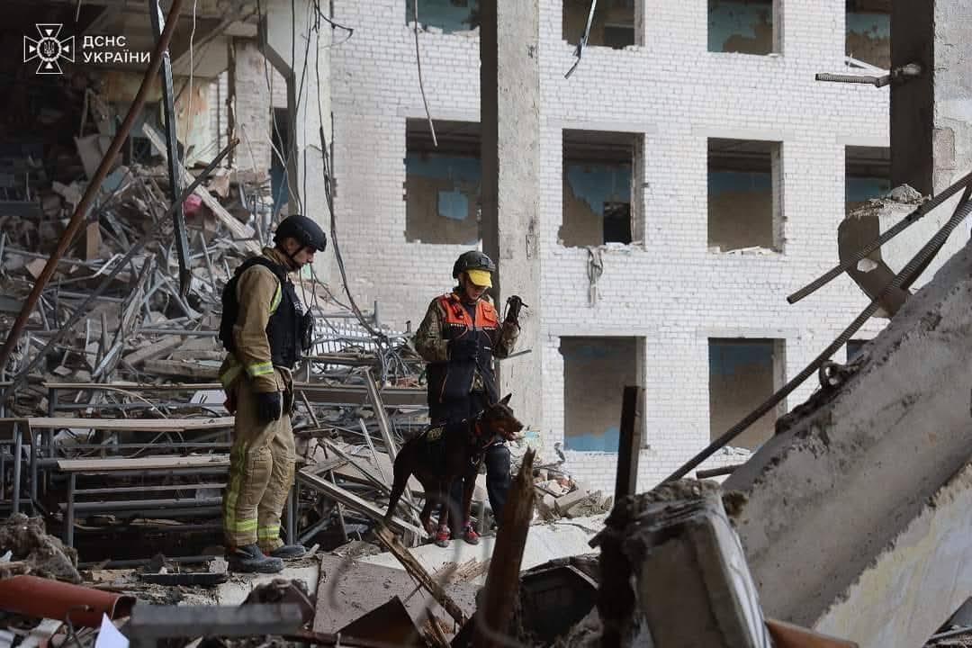 Нашла более 170 человек: умерла собака Ханна, которая помогала спасателям после атак РФ. Фото