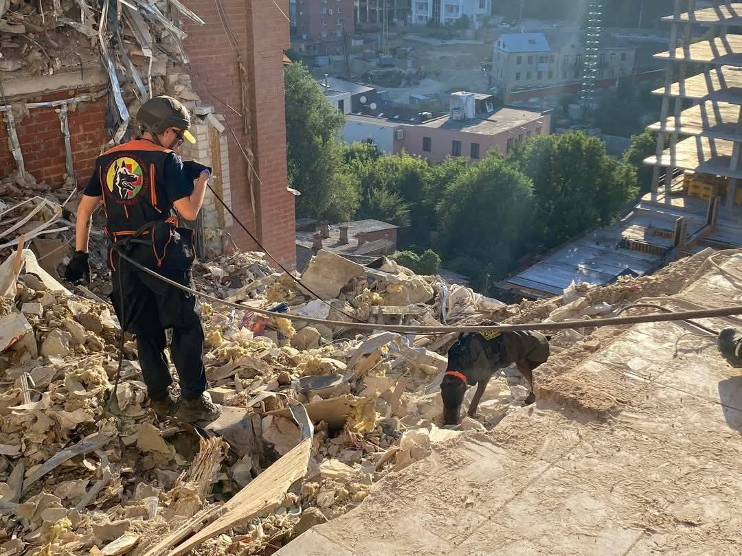 Нашла более 170 человек: умерла собака Ханна, которая помогала спасателям после атак РФ. Фото