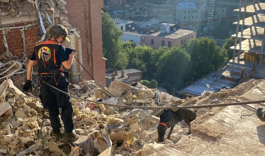 Нашла более 170 человек: умерла собака Ханна, которая помогала спасателям после атак РФ. Фото