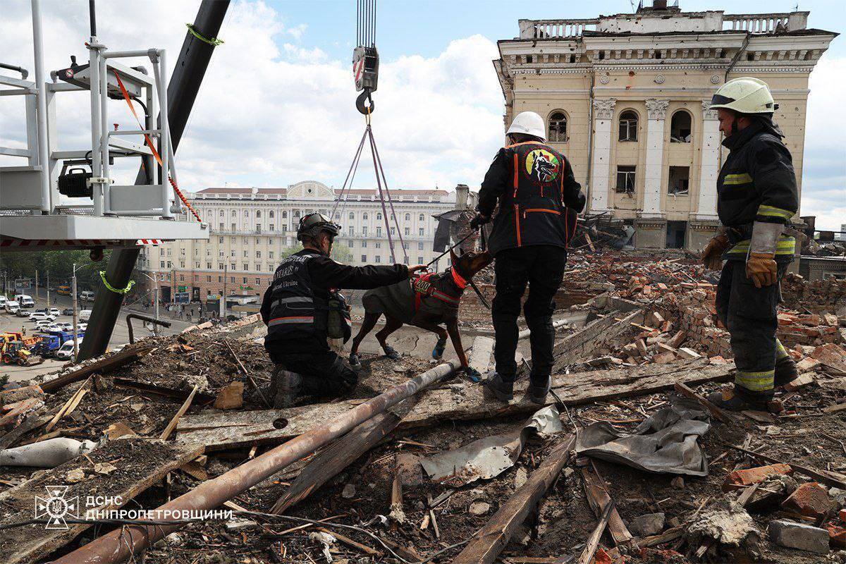 Нашла более 170 человек: умерла собака Ханна, которая помогала спасателям после атак РФ. Фото