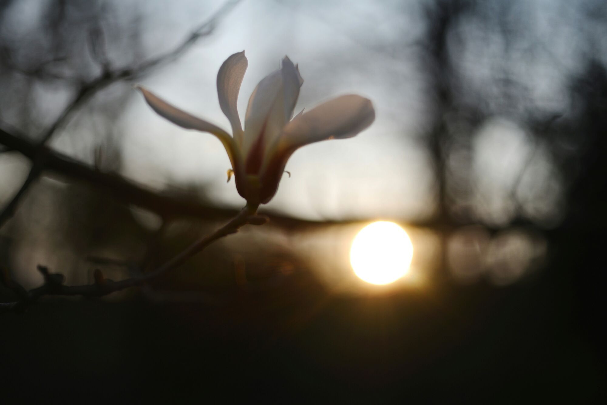 День весеннего равноденствия 2026: что запрещено делать