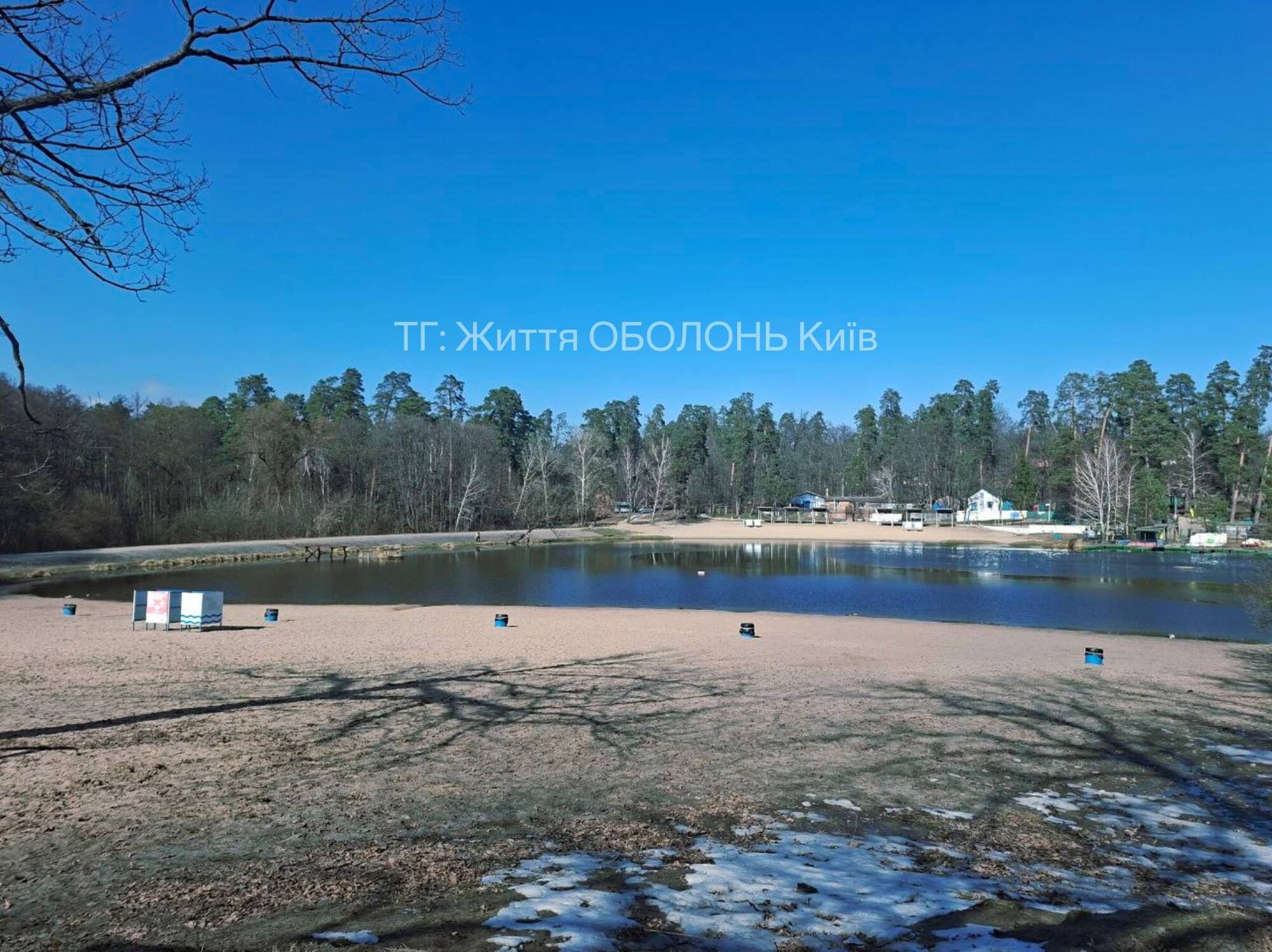 В Киеве на одном из популярных озер зафиксировали массовый мор рыбы. Фото