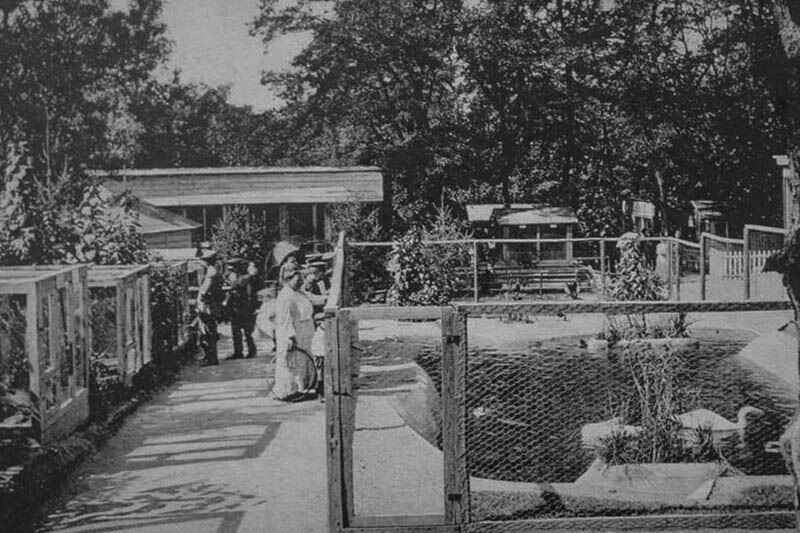 У столиці 117 років тому було засновано Київський зоопарк. Історія та фото